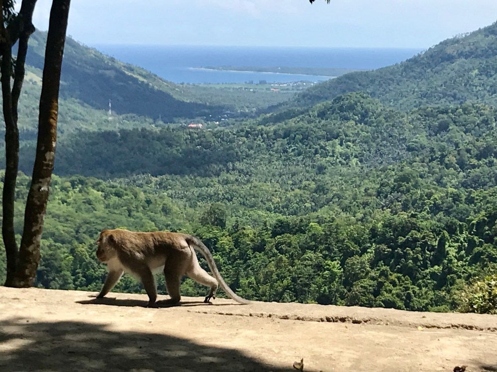 341FE46F-6E27-420E-AC8B-345101A5E565