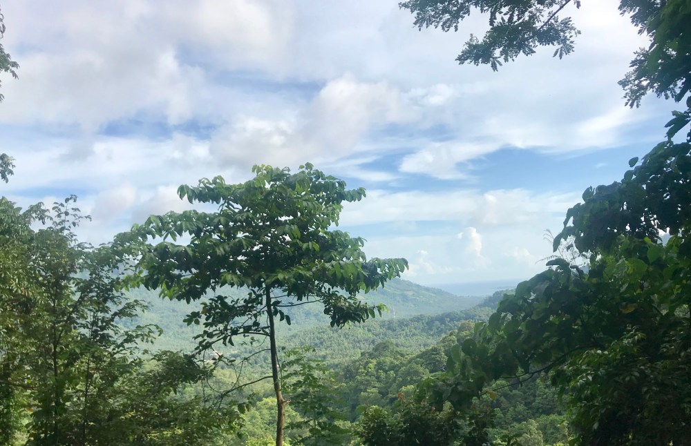 43D18213-638B-48C1-BB9F-4666391B3886