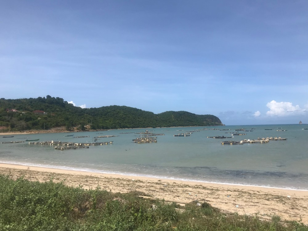 B58BCC8F-6A64-4E48-A0C4-C641B684CC18